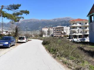 ΑΠΟΨΗ ΟΙΚΟΠΕΔΟΥ