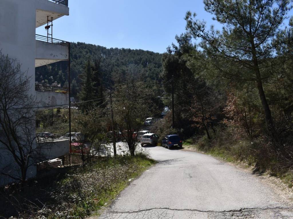 ΑΠΟΨΗ ΟΙΚΟΠΕΔΟΥ