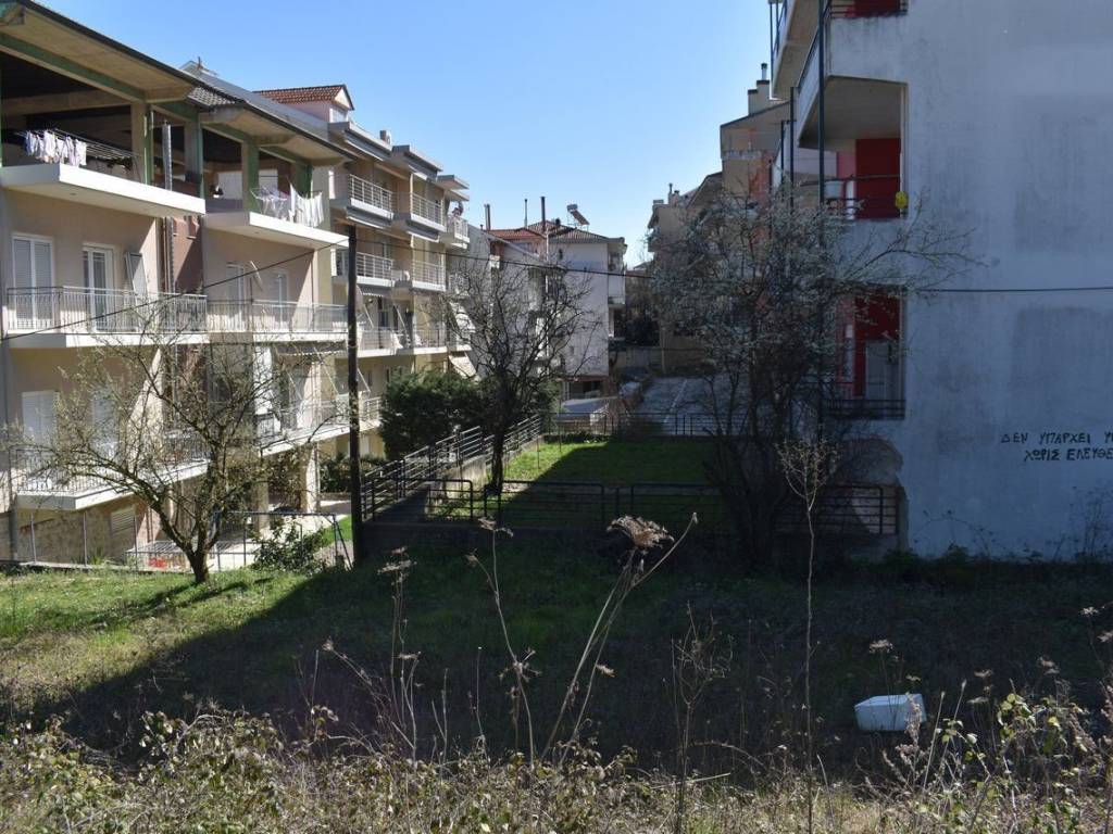 ΑΠΟΨΗ ΟΙΚΟΠΕΔΟΥ