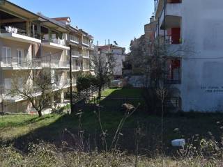 ΑΠΟΨΗ ΟΙΚΟΠΕΔΟΥ