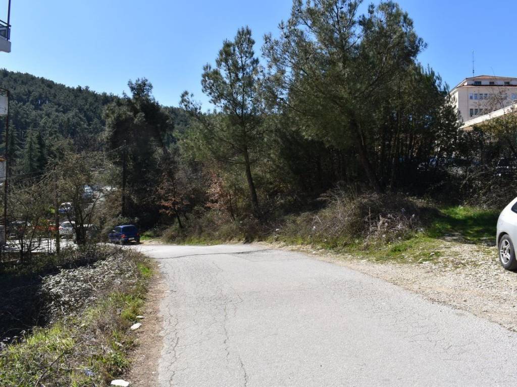 ΑΠΟΨΗ ΟΙΚΟΠΕΔΟΥ