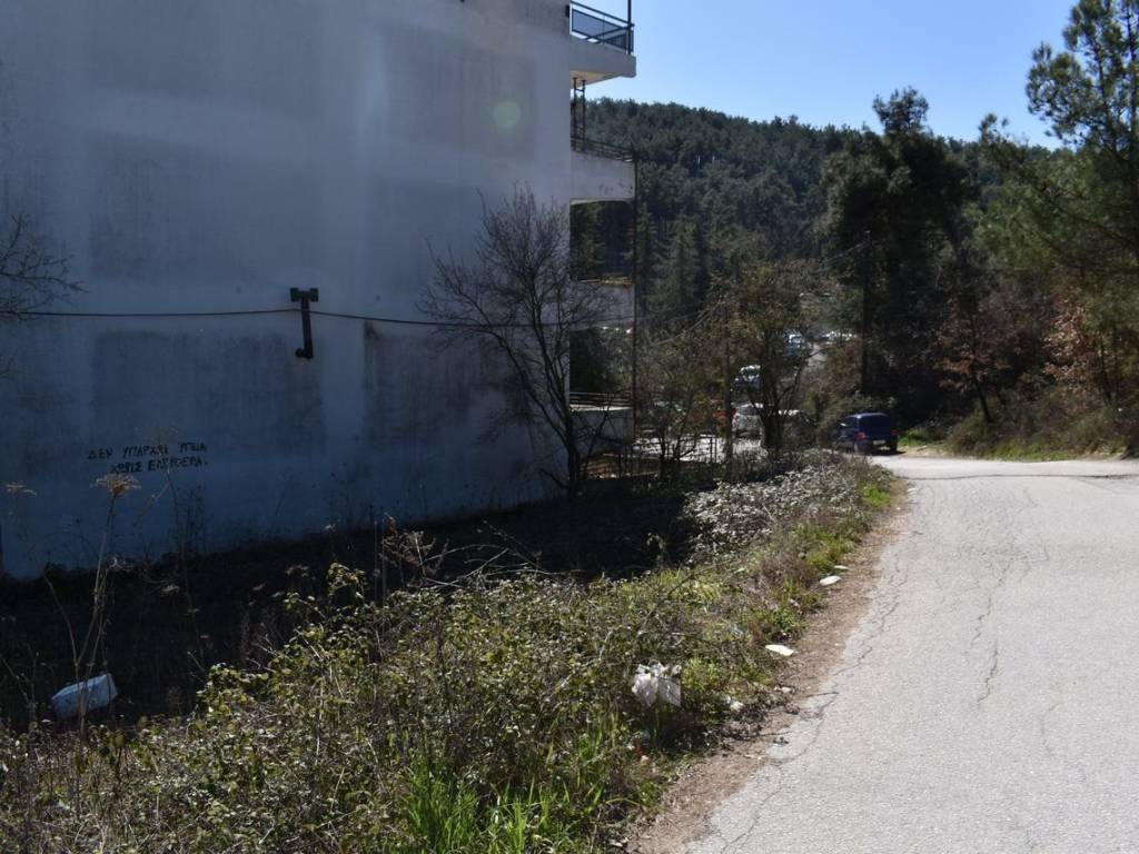 ΑΠΟΨΗ ΟΙΚΟΠΕΔΟΥ