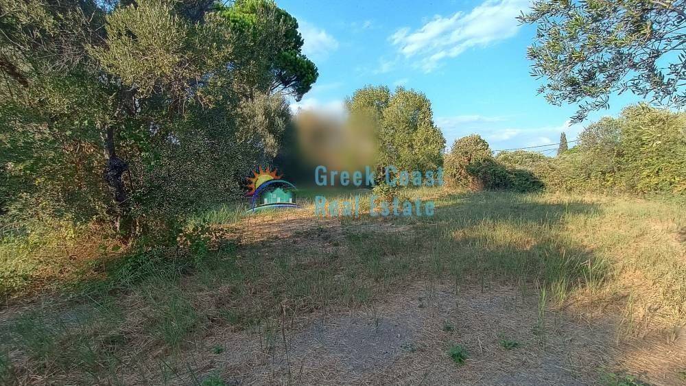 Άποψη χώρου