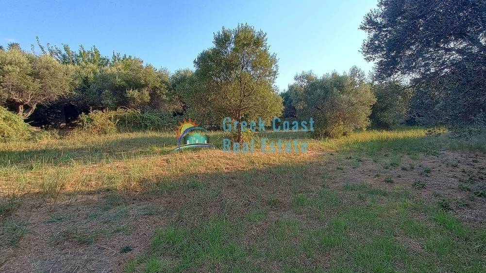 Άποψη χώρου