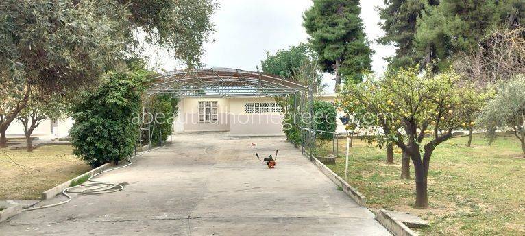 Εξωτερικοι χώροι