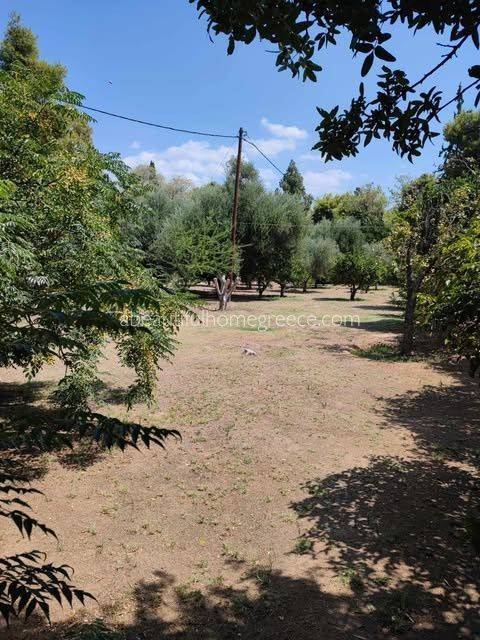 Εξωτερικοι χώροι