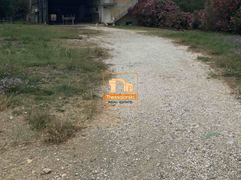 Λητή, Βιοτεχνικός χώρος