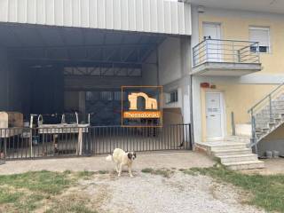 Λητή, Βιοτεχνικός χώρος