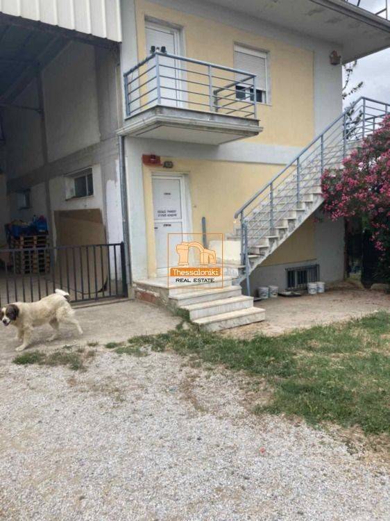 Λητή, Βιοτεχνικός χώρος