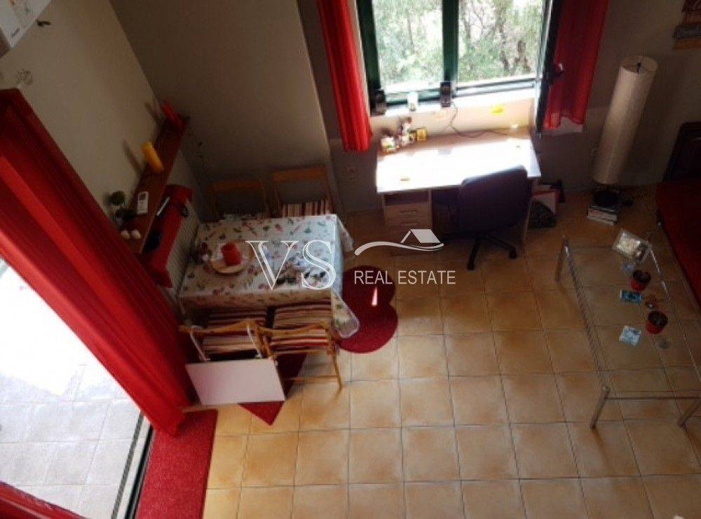 Σαλοκουζίνα