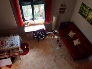 Σαλοκουζίνα