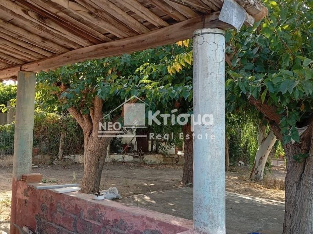 Εξωτερικός χώρος