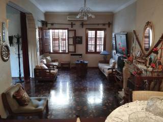 ME PERITECHNA DRYINA PATOMTA