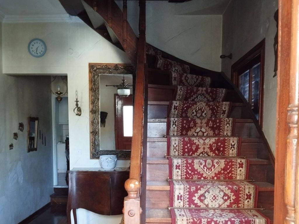 OMORPHE XYLINE SKALA