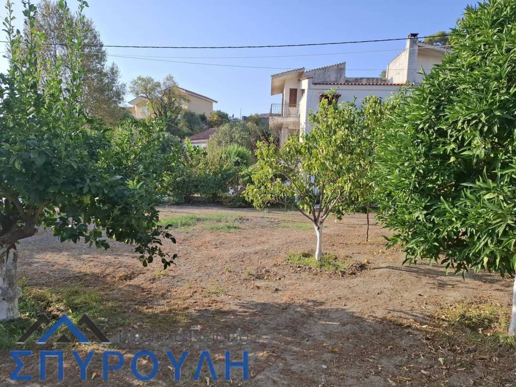 Εξωτερικοι χώροι