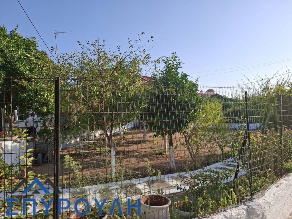 Εξωτερικοι χώροι