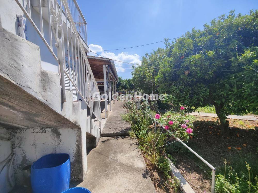 Ανελκυστήρας