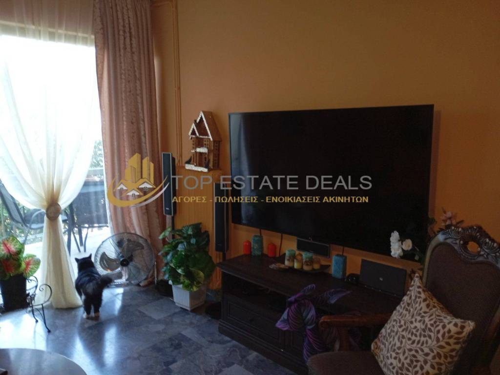 saloni - mpalkonoporta