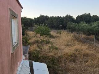 Εξωτερικοι χώροι