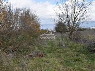 ΑΠΟΨΗ ΑΓΡΟΤΕΜΑΧΙΟΥ