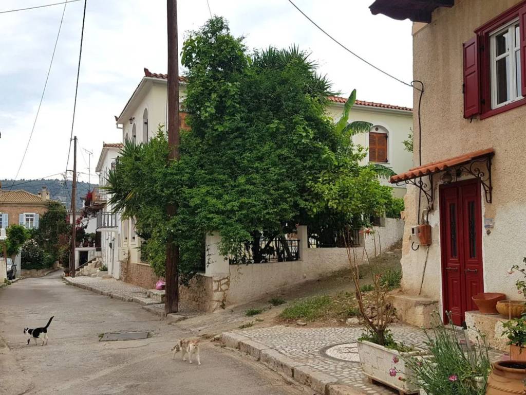 ΣΕ ΟΜΟΡΦΗ ΚΑΙ ΗΣΥΧΗ ΓΕΙΤΟΝΙΑ