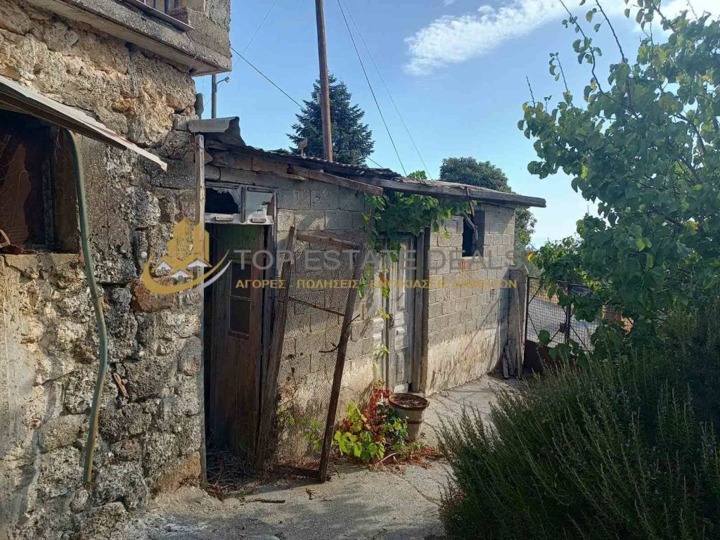 apotheke -ypaithrio gkaraz