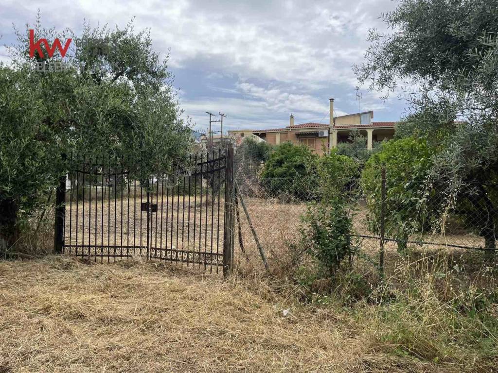 Εξωτερικοι χώροι