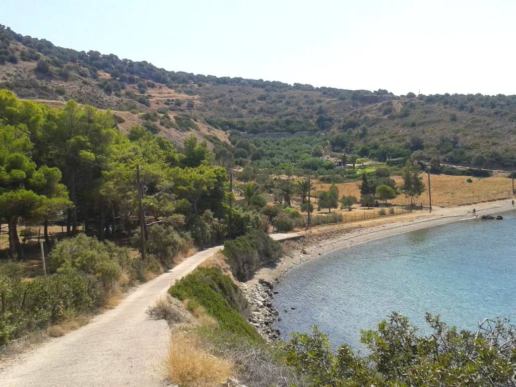 Ο ΔΡΟΜΟΣ ΠΡΟΣ ΤΟ ΑΓΡΟΤΕΜΑΧΙΟ