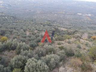 1750350439436 (1).jpg