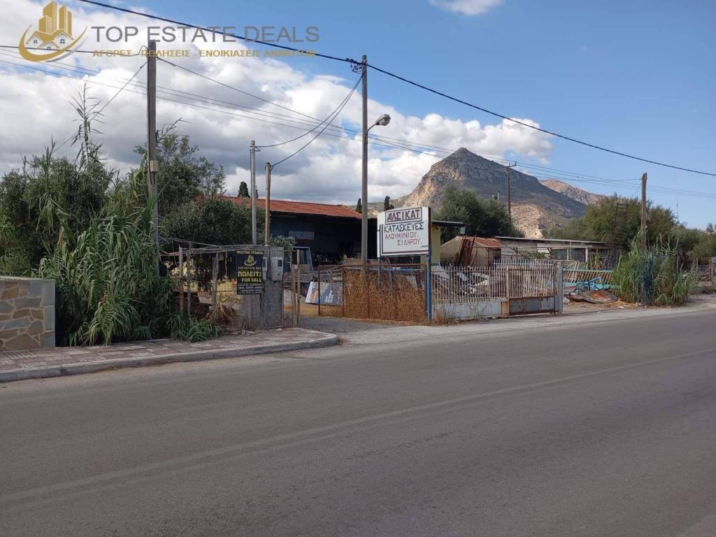 epicheirese pano sten P.E.O Korinthoy Patron