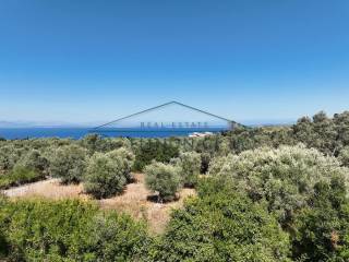 Η θέα από το οικόπεδο