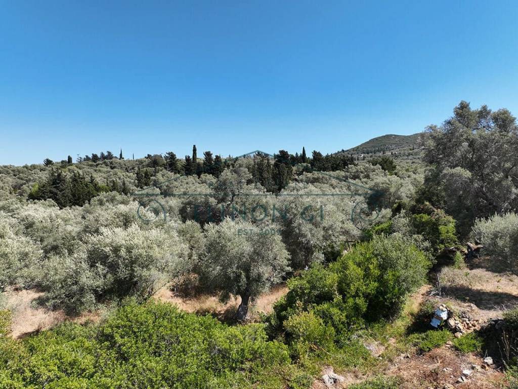 Η θέα από το οικόπεδο