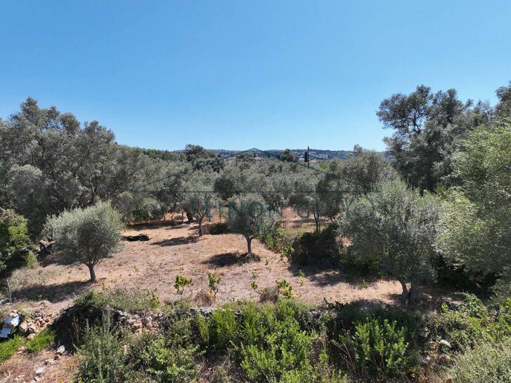 Το οικόπεδο