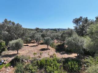 Το οικόπεδο