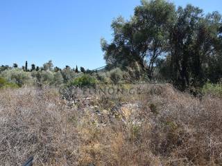 Το οικόπεδο