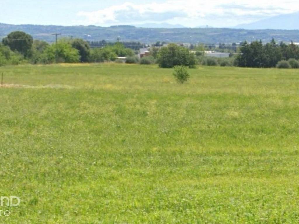 Forumland Real Estate, Αγροτεμάχιο