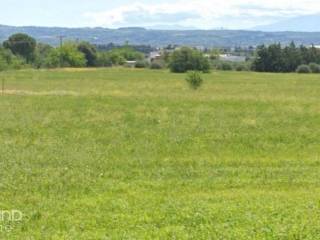 Forumland Real Estate, Αγροτεμάχιο