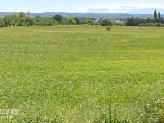 Forumland Real Estate, Αγροτεμάχιο