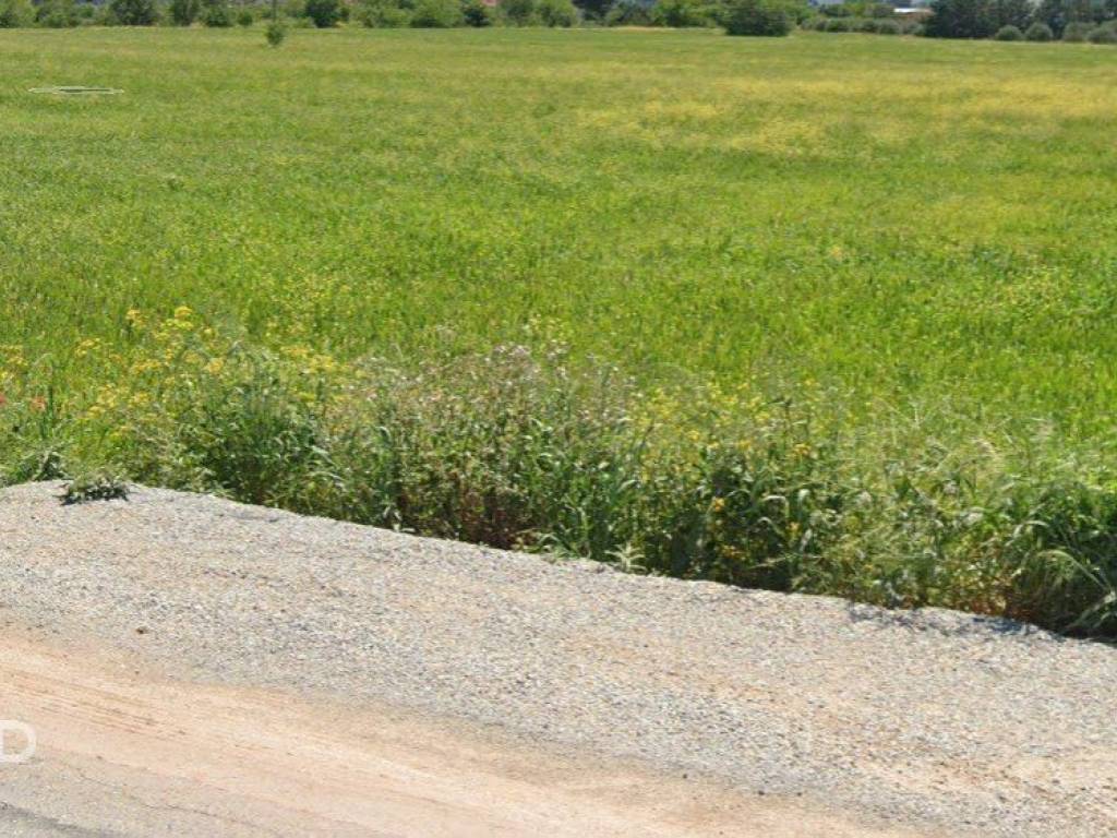 Forumland Real Estate, αγροτεμάχιο