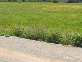 Forumland Real Estate, αγροτεμάχιο