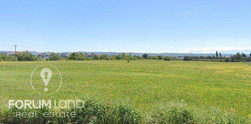 Forumland Real Estate, αγροτεμάχιο