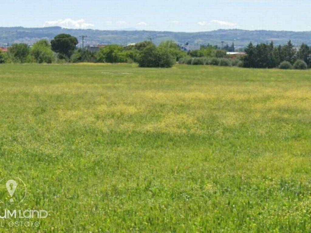 Forumland Real Estate, αγροτεμάχιο