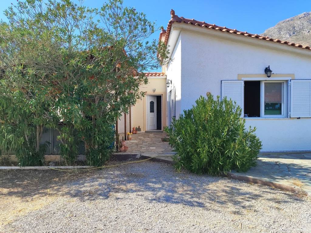 MONOKATOIKIA 100 T.M. STON PANORMO