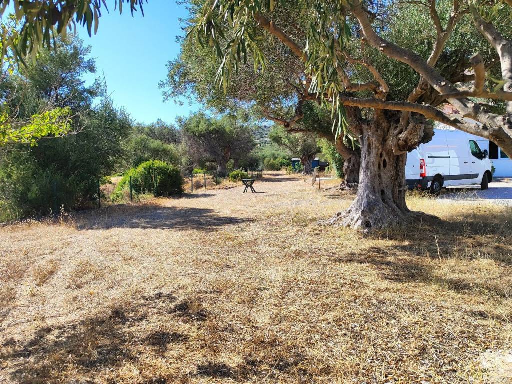 SE MEGALO OIKOPEDO 2.000 T.M.