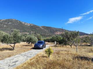 ME MEGALO PLAKOSTROMENO DIADROMO KAI THESEIS STATHMEYSES