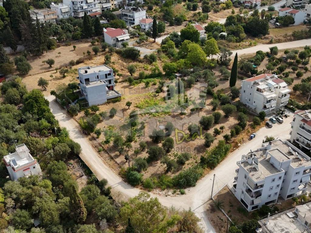 Εξωτερικοι χώροι