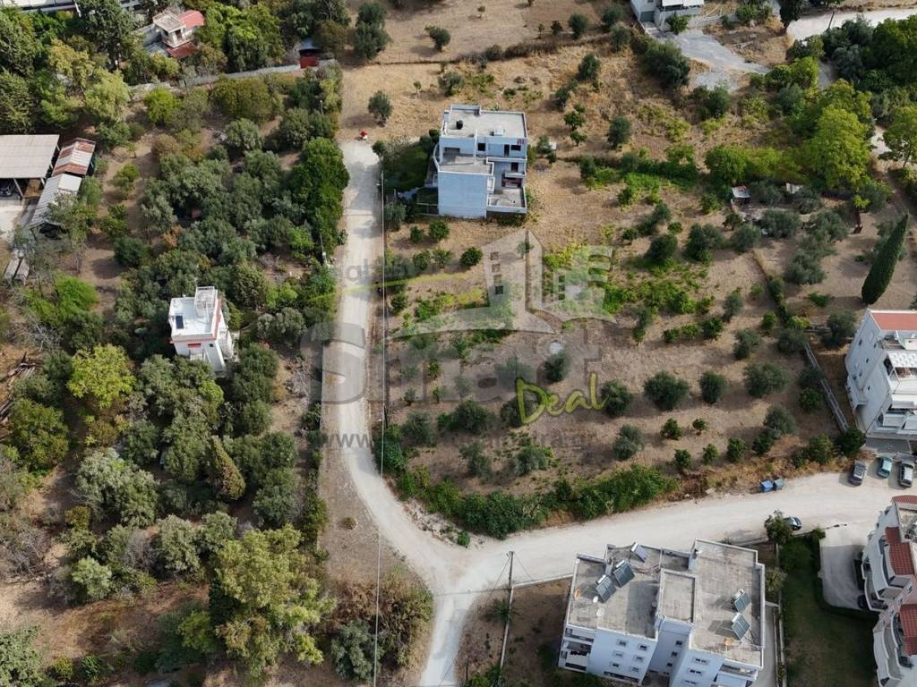 Εξωτερικοι χώροι