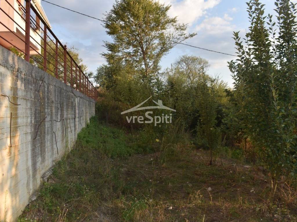 ΑΠΟΨΗ ΟΙΚΟΠΕΔΟΥ