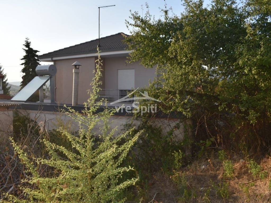 ΑΠΟΨΗ ΟΙΚΟΠΕΔΟΥ