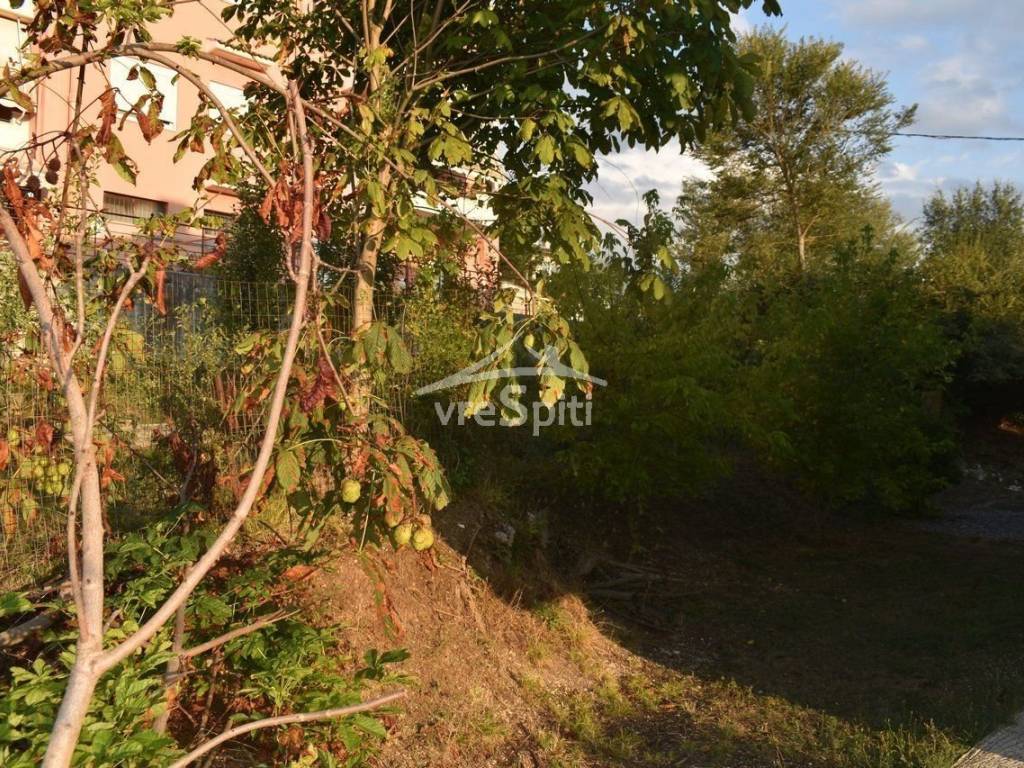 ΑΠΟΨΗ ΟΙΚΟΠΕΔΟΥ